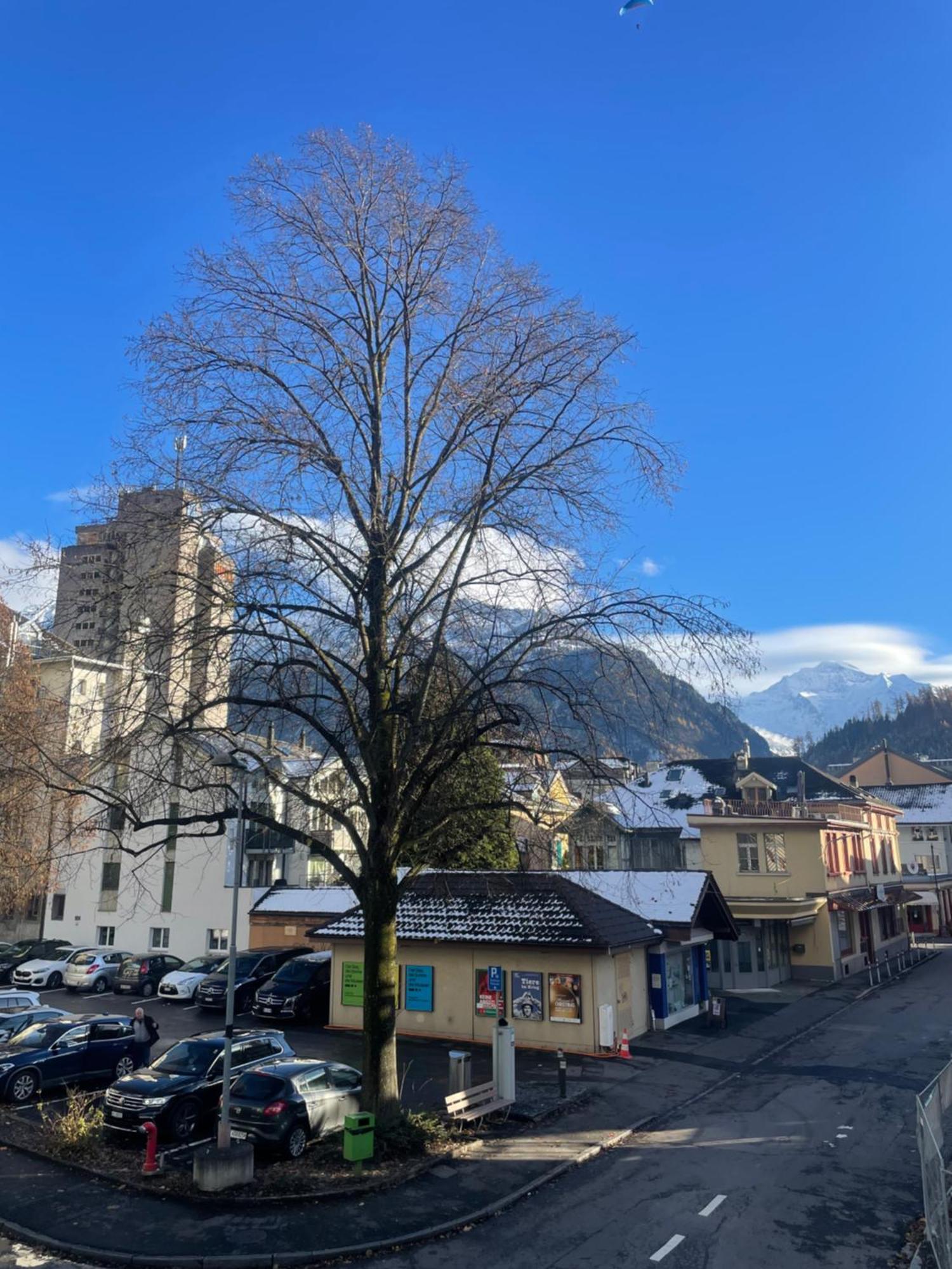 Modern City Apartments Interlaken Esterno foto
